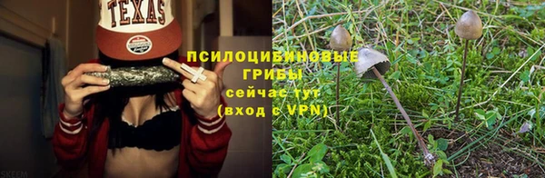 2c-b Алексеевка